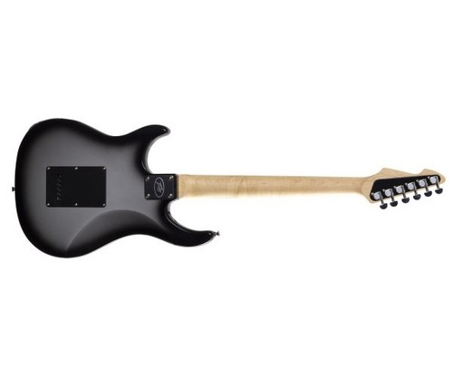 Peavey raptor custom - peavey,