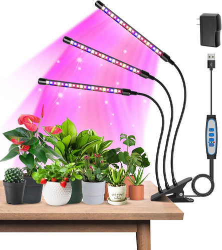 Luci per piante teste - luci,