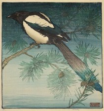 Magpie - Allen William Seaby -
