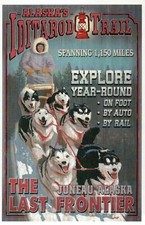 Iditarod Trail Juneau Alaska, Husky, Malamute, Sled Dog Race, AK --- Cartolina