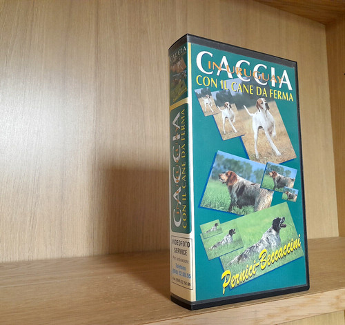 Caccia uruguay con cane - in,