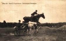 PINEROLO, Torino - Scuola di