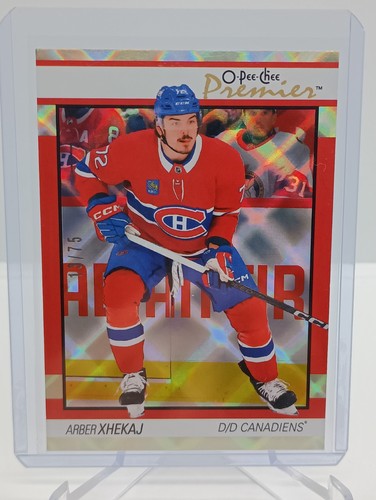 Arber xhekaj 2025 opc - xhekaj,