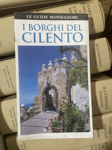 Libro borghi del cilento - libro,