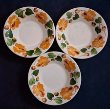 Richard Ginori Mondovi Design