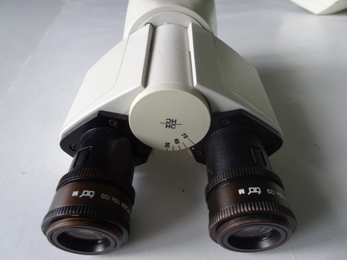 Leica microscopio testa - leica,