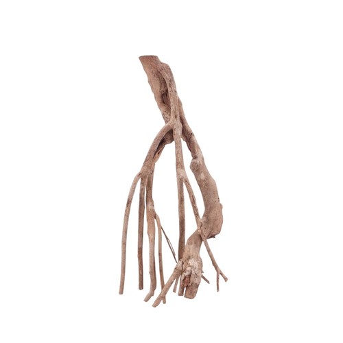 Radice acquario decorazione - radice,