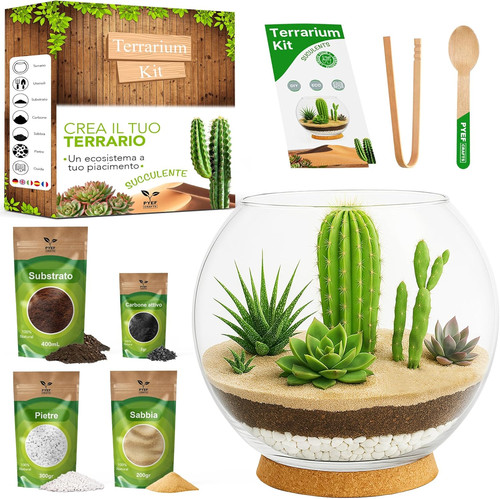 Kit terrario piante grasse - kit,