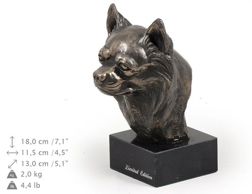 Chihuahua dai capelli - ,