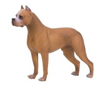 Dogo Argentino cane animale