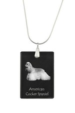 Americano Cocker Spaniel