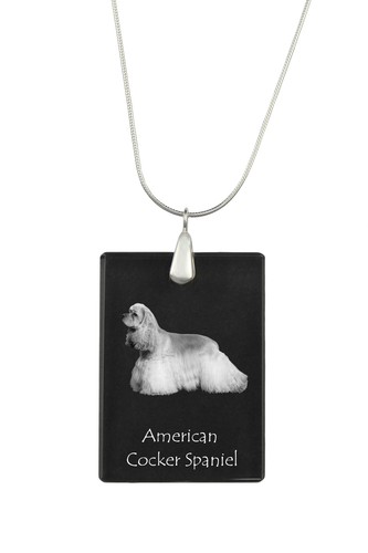 Americano cocker spaniel - americano,