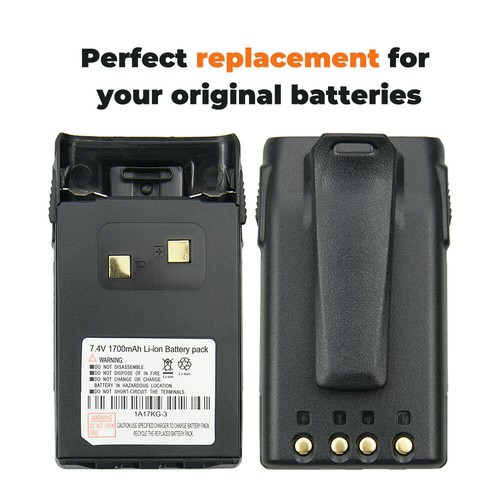 Batteria agli ioni litio - ioni,