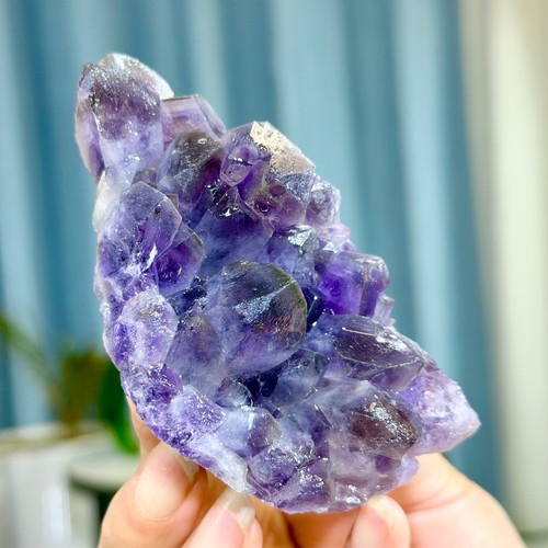 224g ametista naturale geode - 224g,