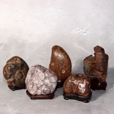 Pietra da Vista Suiseki