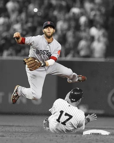 Boston red sox dustin - sox,