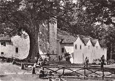 MADONNA DELL'ACERO (Bologna) - Santuario Arcivescovile della Beata Vergine 2