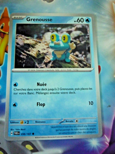 Pokemon mascarade - pokemon,