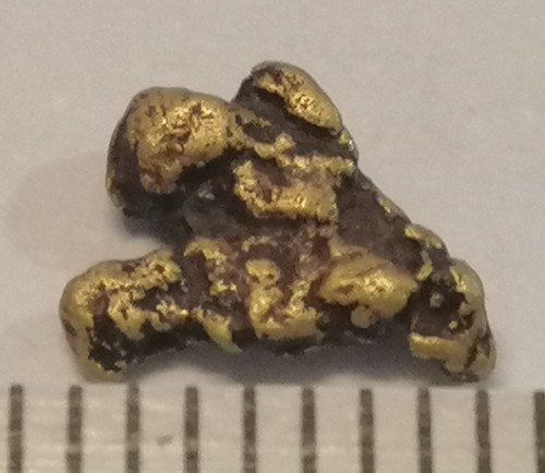 Pepita oro xxl - d'oro, 7,1