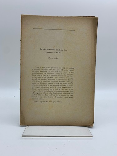 Colini martelli o - g., a.