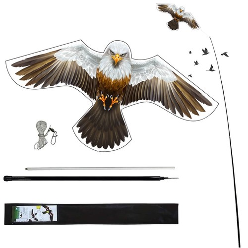 Aquilone falco spaventapasseri