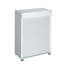 Serrandina BENIGNIMOBILI con 2