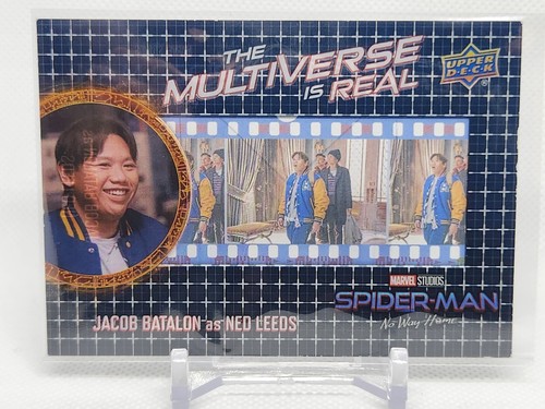 Ned leeds multiverse - leeds, real