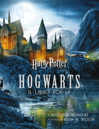 Harry potter hogwarts il - potter.,