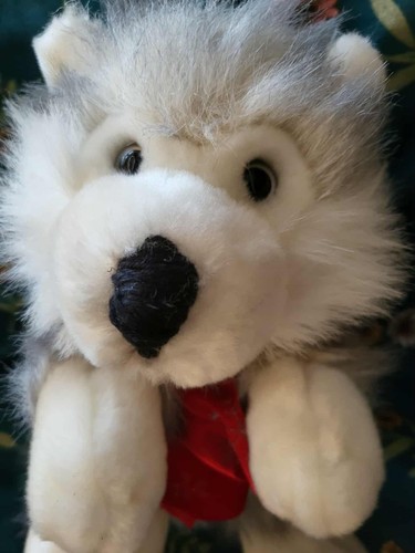 Humatt lots love husky - of,