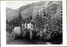 Cartolina Das Episkop, A 41 Austria III, foto 5, Nel paese del vino,... - 4138379