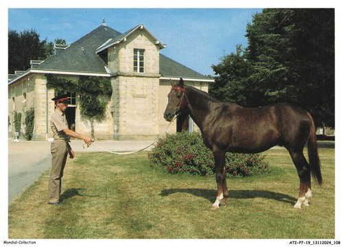 Atip7 0471 pompadour - -,