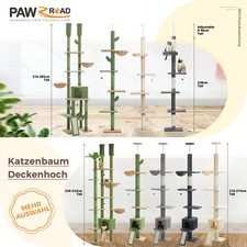 Albero per gatti PAWZ Road