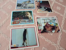 Figurine Nuove Con Velina Il