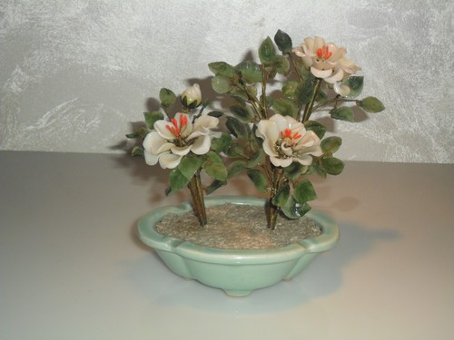 Vintage pianta ornamentale