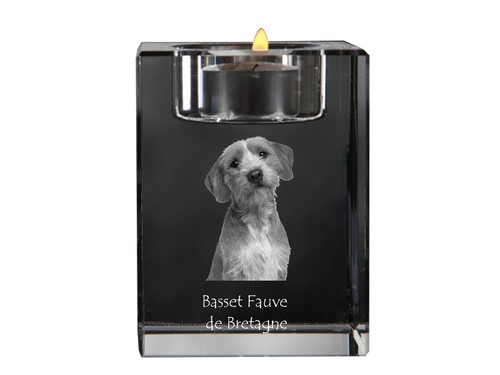 Basset fauve bretagne - de,