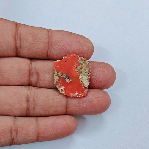 Corallo rosso vintage grezzo