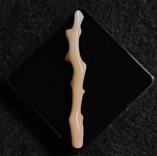 Ramo di corallo bianco rosa