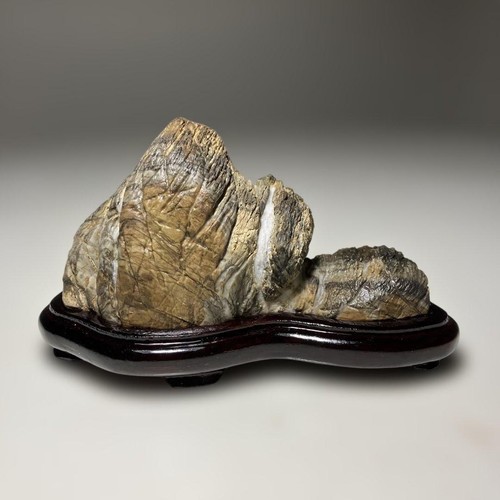 Suiseki bonsai giardino - suiseki,