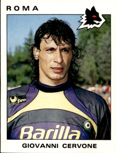 Figurina calciatori 1991 - figurina,