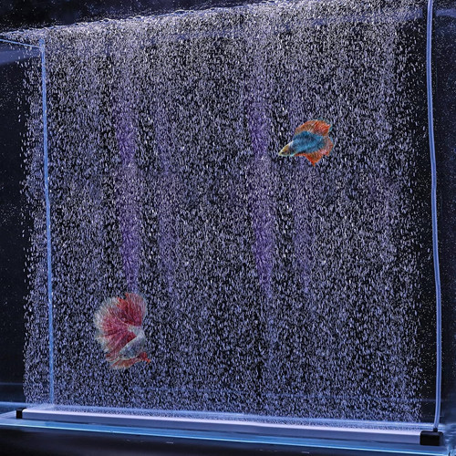 Striscia bolla acquario nano - bolla,