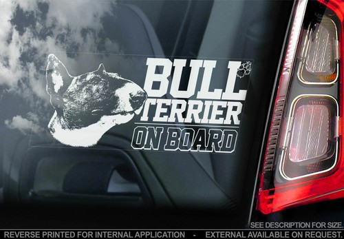 English bull terrier car - bull,