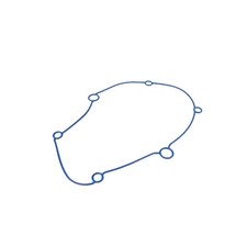 O-Ring coperchio ingranaggi