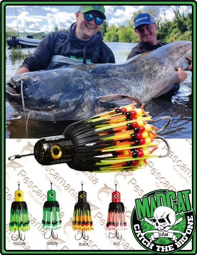 Madcat clonk teaser 100 - clonk,