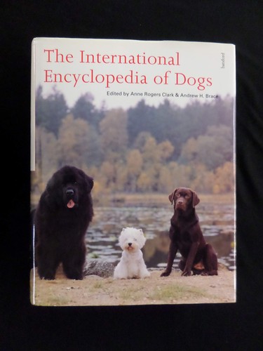 The international encyclopedia - international,