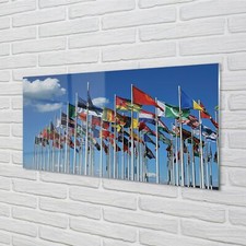 Tulup Acrylic Print 120x60