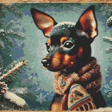 🌟 Mini Pincher Cucciolo