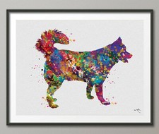 Siberian Husky Cane Acquerello