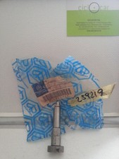 ALBERINO SUPPORTO SPINTEROGENO