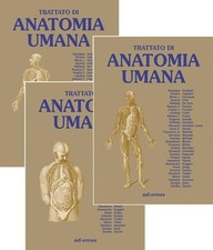 Trattato anatomia umana - anatomia,