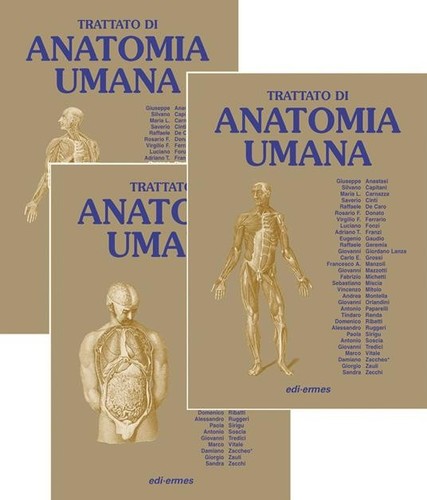 Trattato anatomia umana - di,
